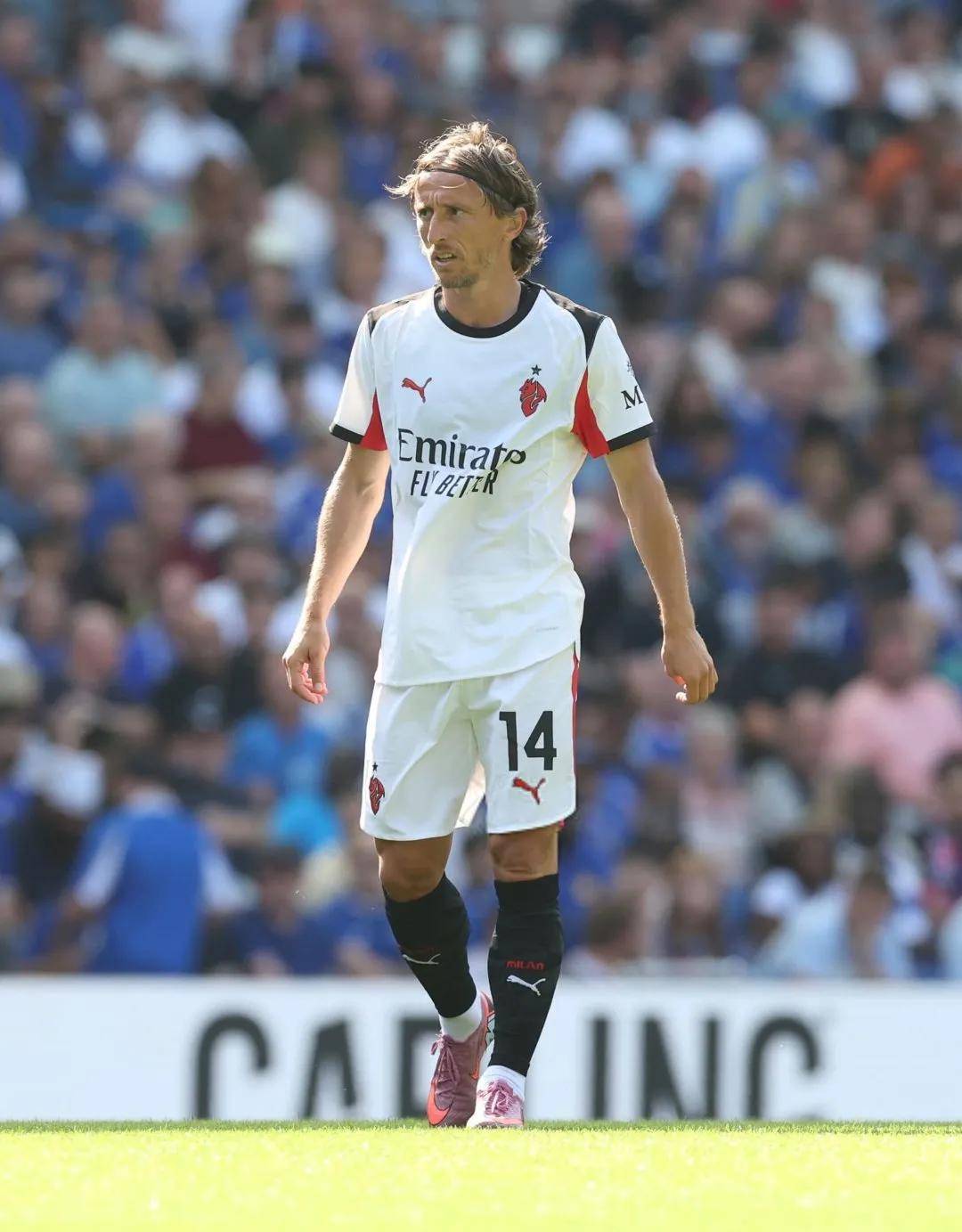 切尔西乘胜追击，势不可挡！的简单介绍