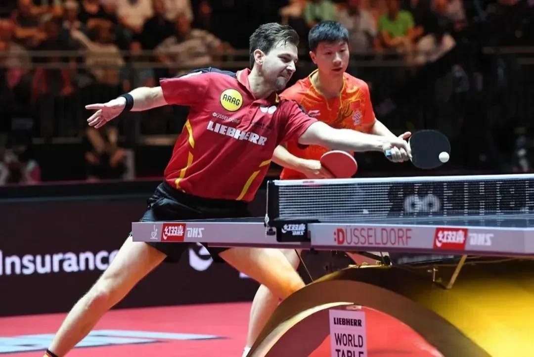 瑞典乒乓球队强势法国乒乓球队，波尔制霸全场的简单介绍