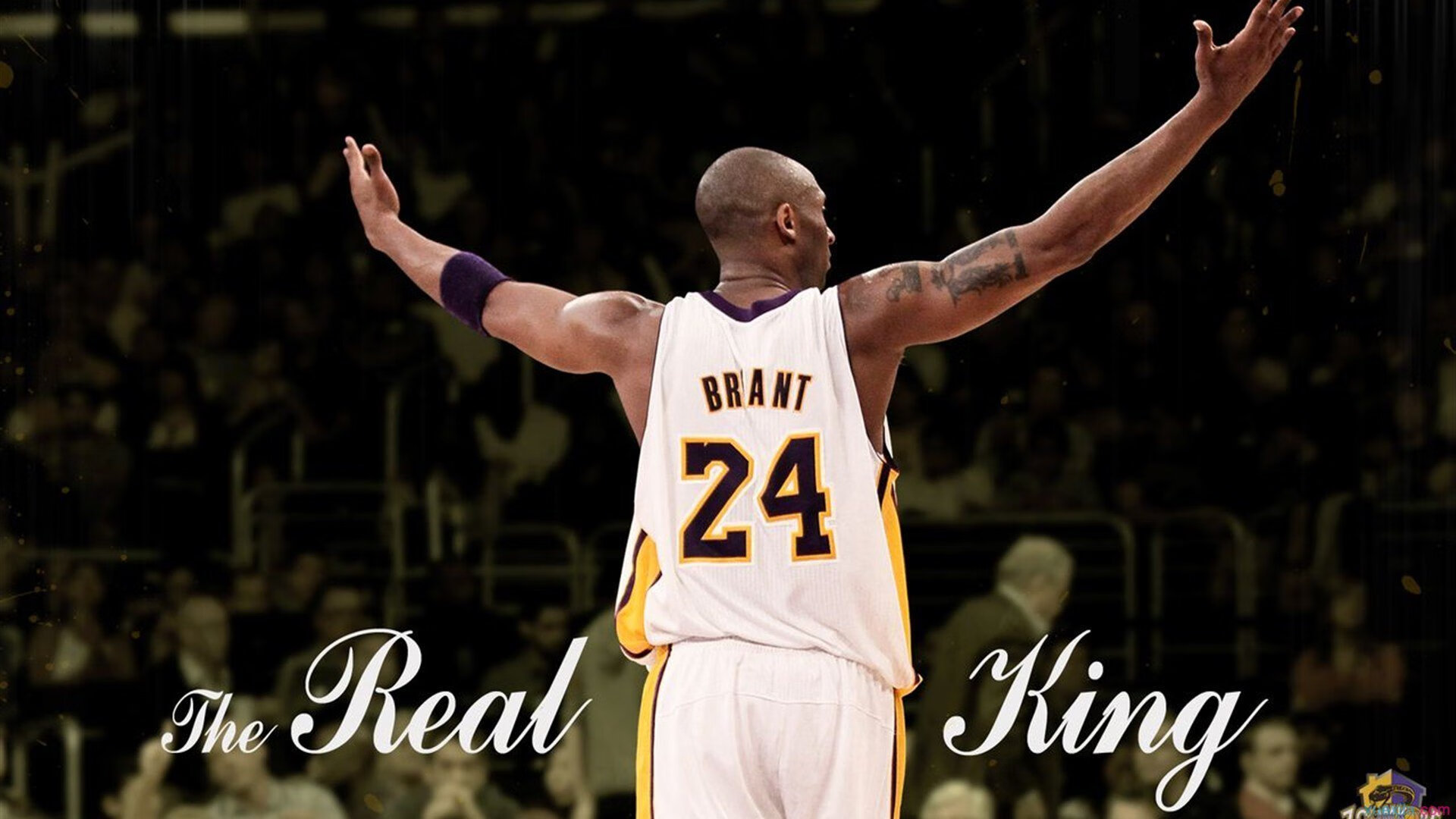 爱德华兹，稳定如钟，步行者力克老鹰的关键先生