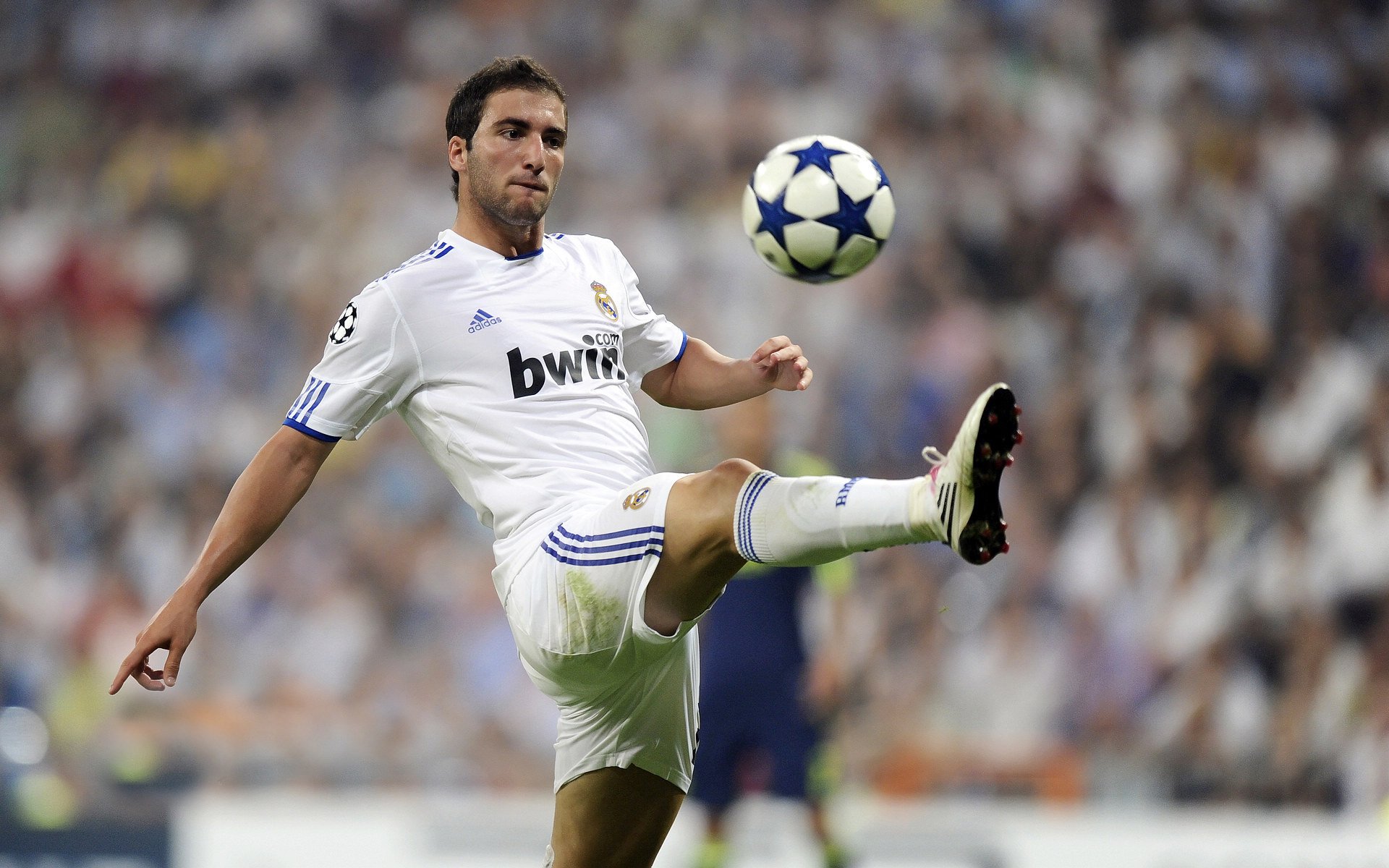 绿衫奇迹，爱尔兰力克新西兰，萨拉赫成为关键先生